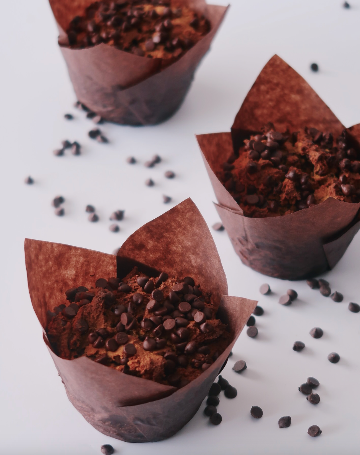 {GS} Pumpkin Chocolate Chip Muffins